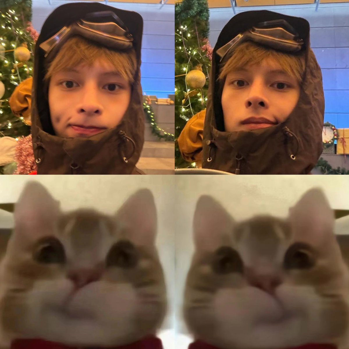 YearnYetYeild's tweet image. What’s the difference???