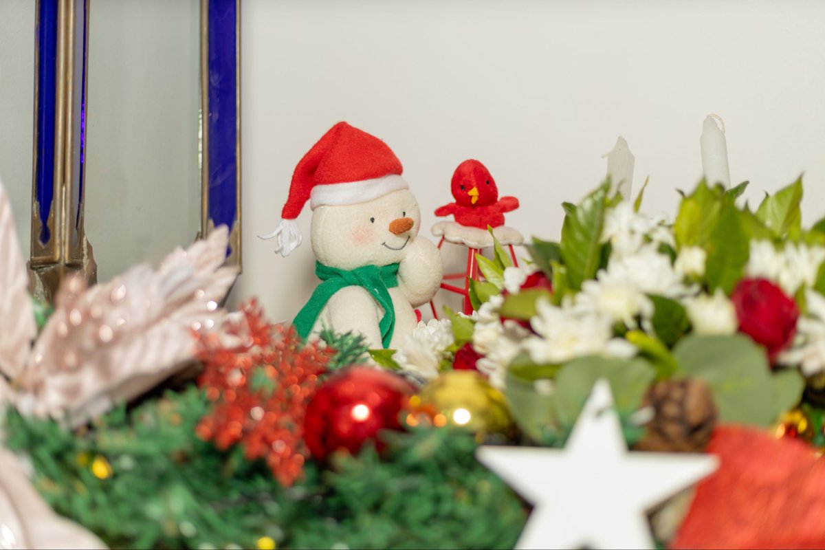 Latitude 0° tweet media