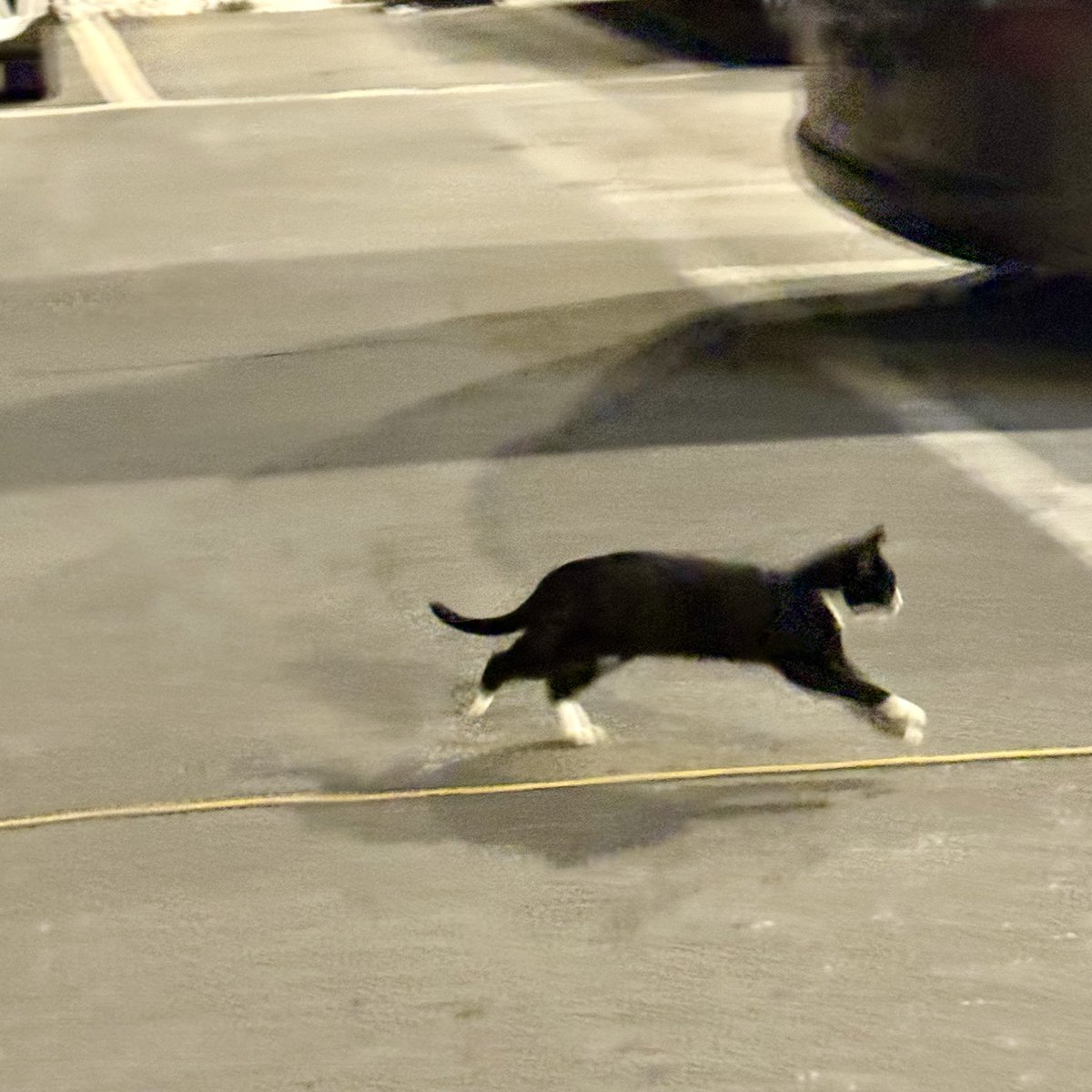 Complex_weekend's tweet image. 함께 영화를 본다면 한국영화를 본다.
귀는 대사를 듣고, 눈은 당신을 바라볼 거야

한 때 싫어하던 내 몸과 마음을 받아들이는데
시간이 걸렸다. 볼이 넓어 예쁜 신발을 꺼렸는데
시간이 흘러 나에게 맞춰진 스스로를
받아들이고 관조할 수 있는 여유가 생긴 것 같다.
조금은 크지 않았을까?