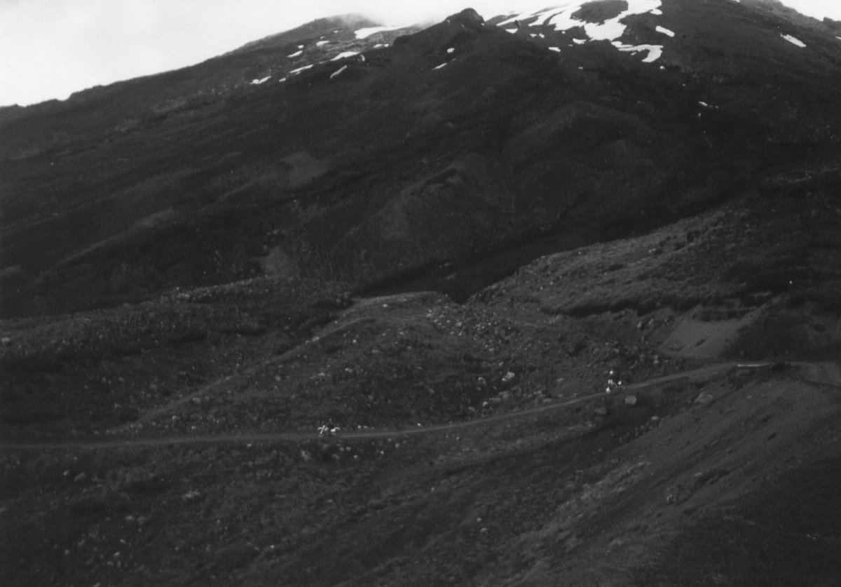 peter racoon (@peterracoo79459) on Twitter photo 