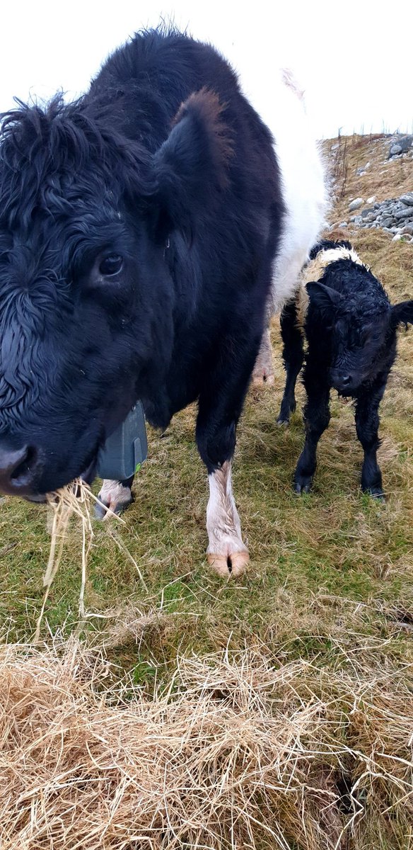 Claire Bird tweet media