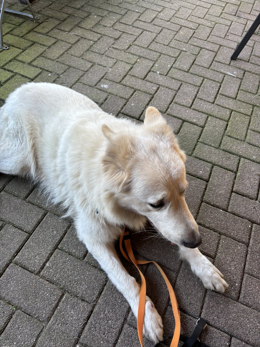 Even lekker de kou opgezocht