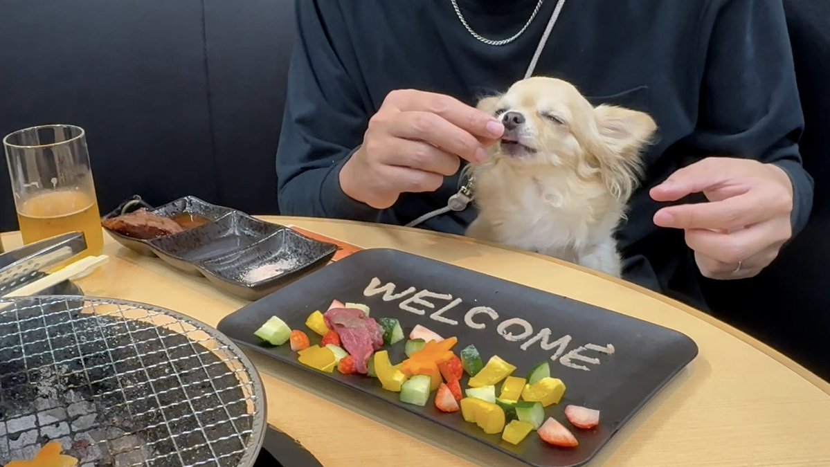 ほんとに幸せそうなニコちゃん☺️