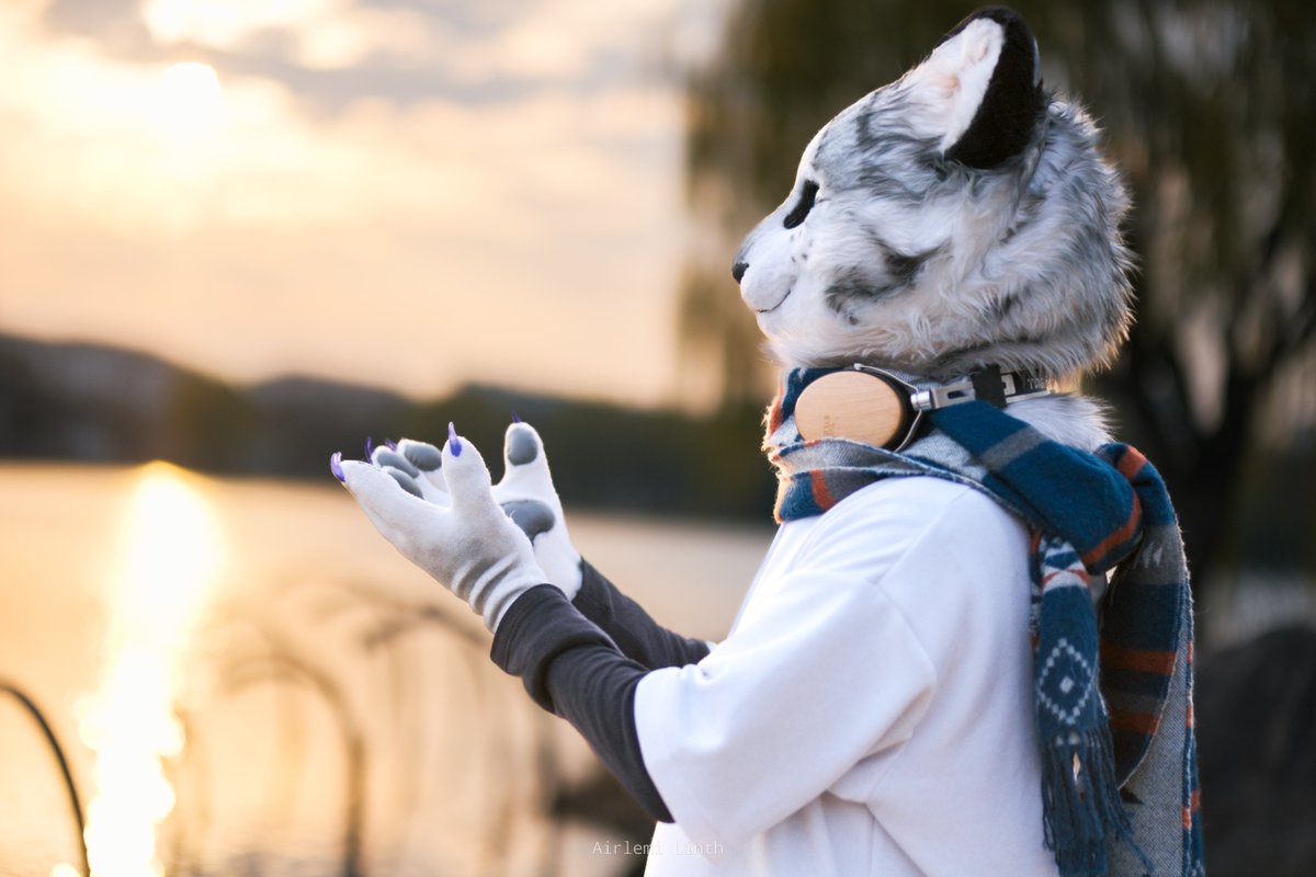 - Sunset's air -
(The last #FursuitFriday of the 2025!)