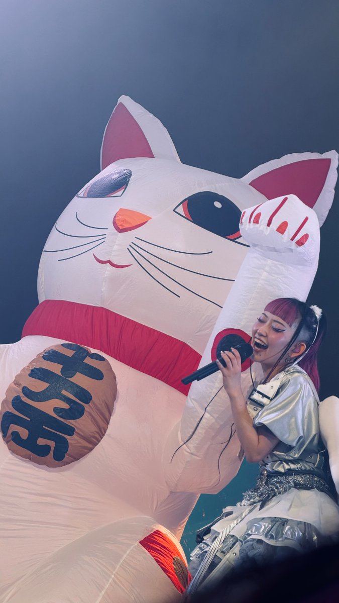 こてっちゃんページ h_kenmochi 福を招き入れるのだ🐱