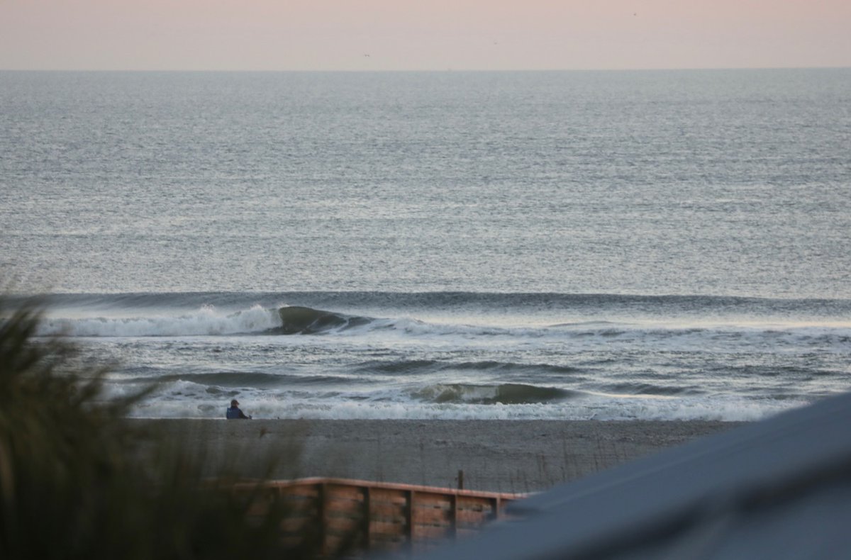 The Surf Station tweet media