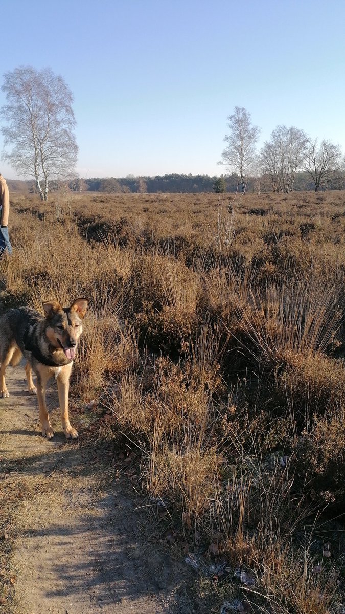 Mayke Bronkhorst tweet media