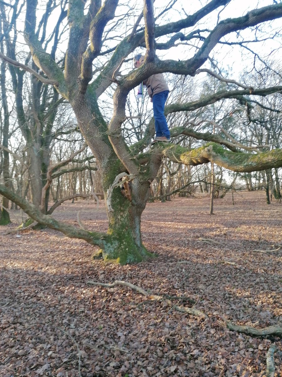 Mayke Bronkhorst tweet media