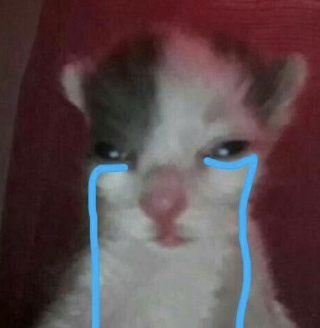 Alingga Bondol Kohler wrrr wrrr tweet media