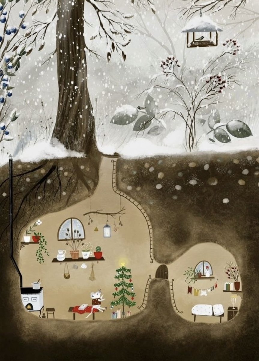 observerK's tweet image. 인간도 겨울잠 자는 종이면 을메나 좋을까 12, 1, 2월 무족건 숙면 ... 안 그럼 부작용 생기는...🥱🥱🥱