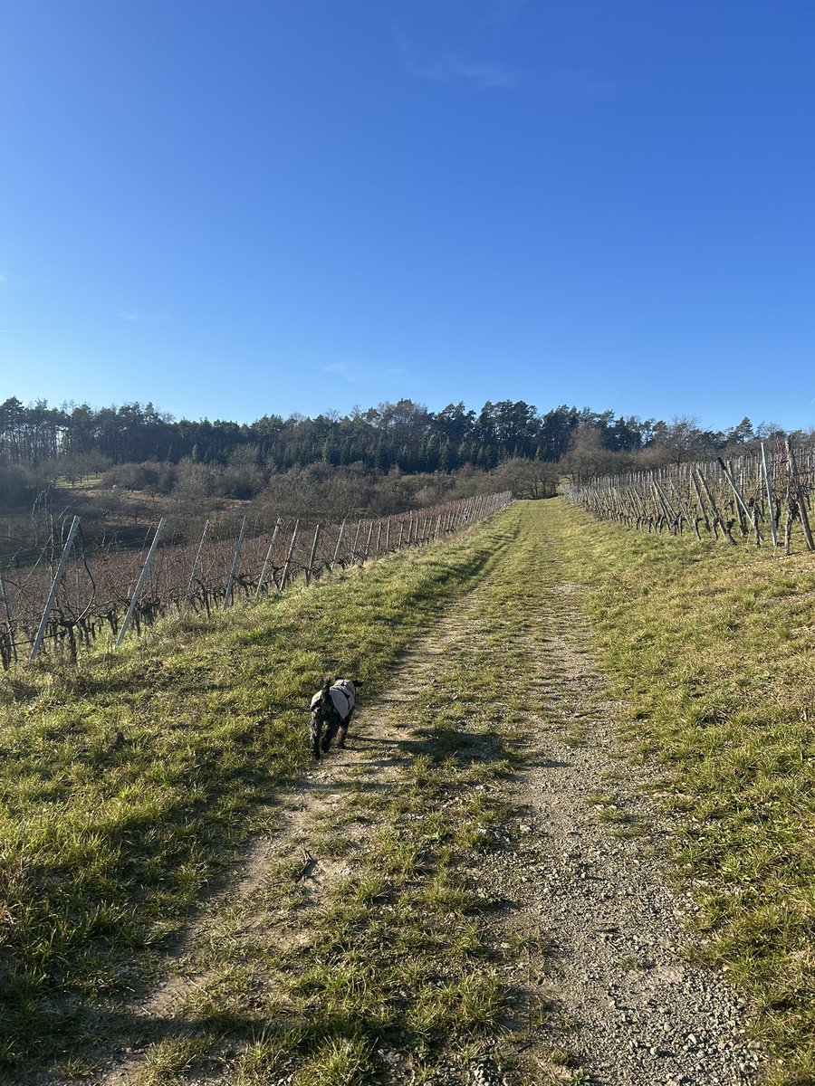 weinwanderung