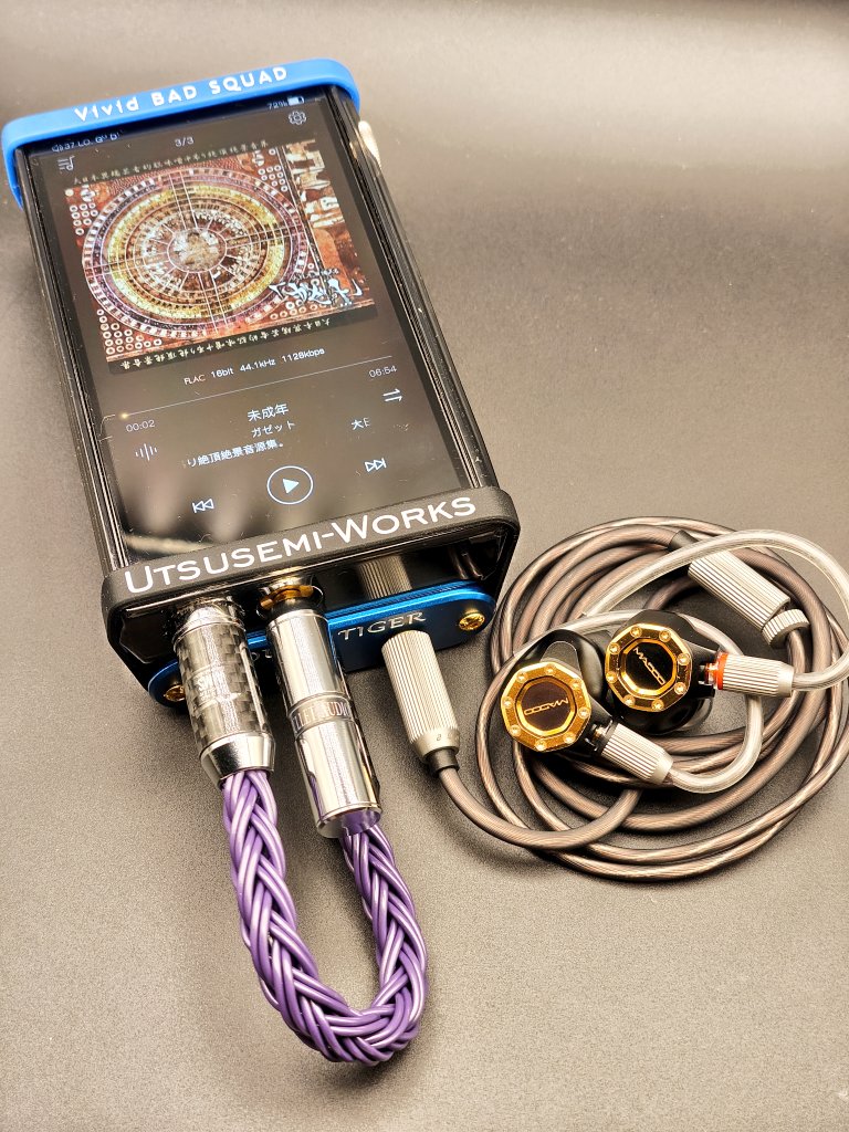 はんてん@うつせみワークス (@chiacchiere_) / Posts / X