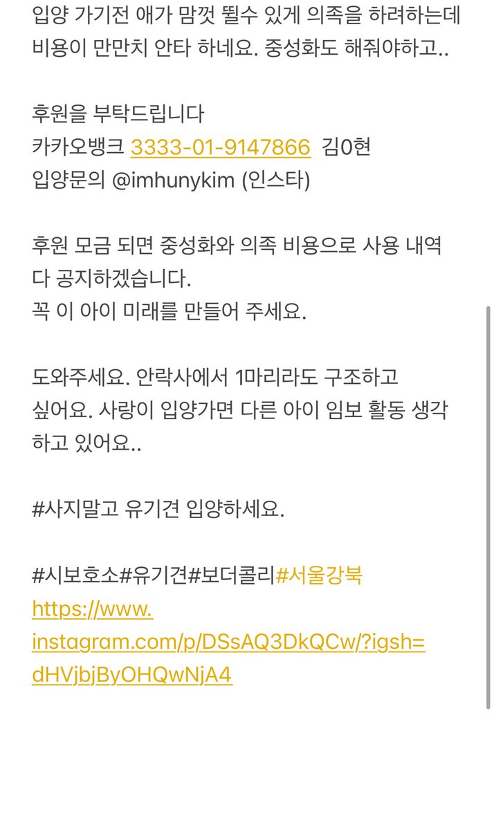 sosweet_hosu's tweet photo. (Rt부탁) 지인이 임보하고있는 강아지 입니다. 입양문의 + 의족/중성화비용 후원도 받고있어요. 게시물에 전문 글과 사랑이 사진을 올려봅니다 ㅜㅜ

카카오뱅크 3333-01-9147866  김0현
입양문의 @imhunykim (인스타) https://t.co/NLeK2iA8Jn