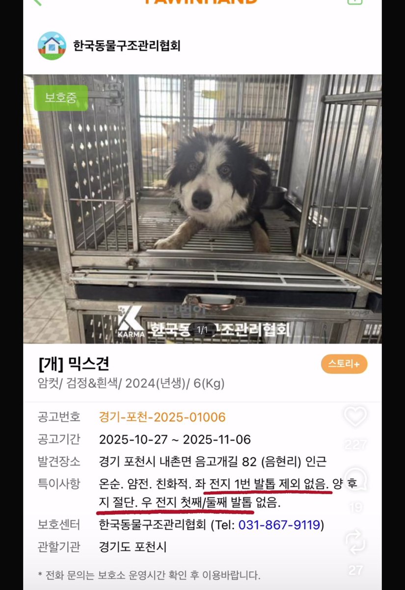 sosweet_hosu's tweet photo. (Rt부탁) 지인이 임보하고있는 강아지 입니다. 입양문의 + 의족/중성화비용 후원도 받고있어요. 게시물에 전문 글과 사랑이 사진을 올려봅니다 ㅜㅜ

카카오뱅크 3333-01-9147866  김0현
입양문의 @imhunykim (인스타) https://t.co/NLeK2iA8Jn