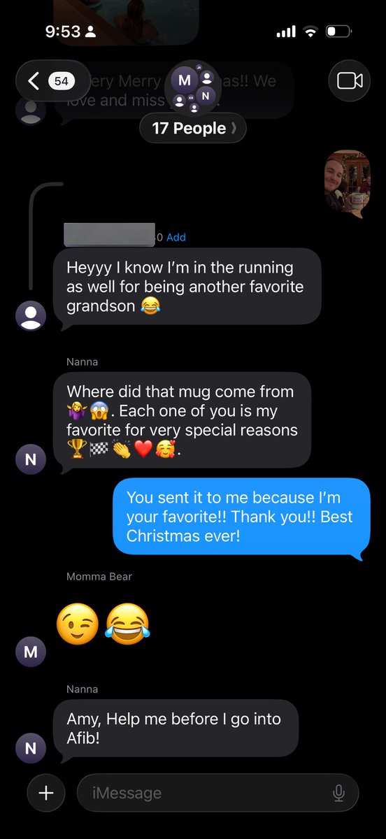 Had to spice things up in the extended family group chat this year 😭 happy holidays from #nannasfavorite