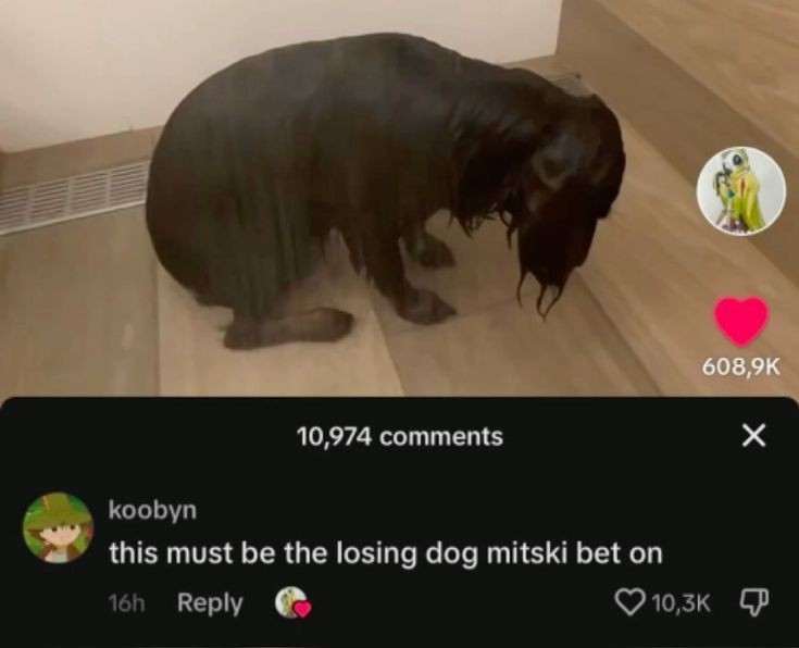 hourly_shitpost's tweet image. 