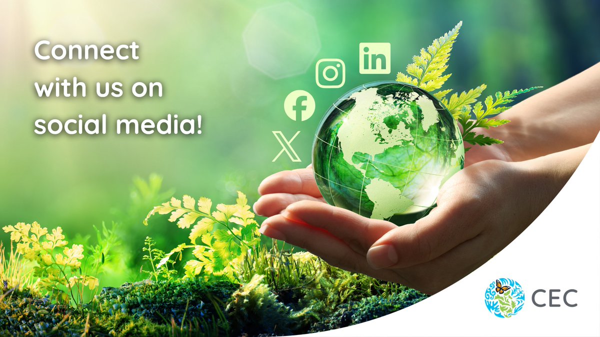 CECweb's tweet image. 🚀💻 Do you want to know more about environmental issues in 🇨🇦🇲🇽🇺🇸?

Stay updated &amp;amp;amp; follow our 11 social media platforms today!

👉linktr.ee/CEC_social