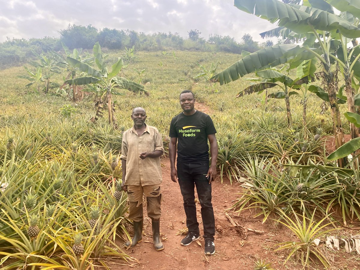 Musafarm Foods tweet media