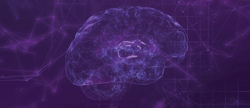 Mensa Foundation tweet media