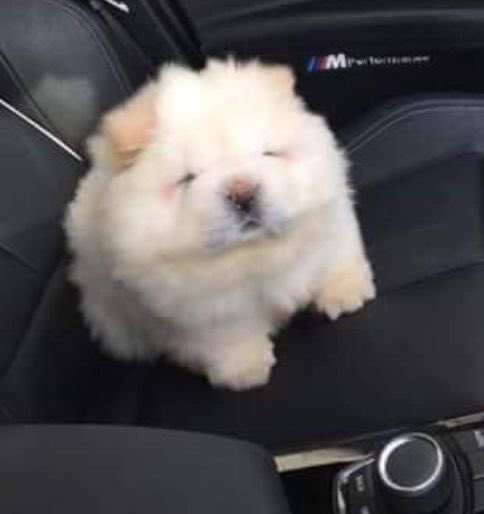 _cb97___'s tweet image. 