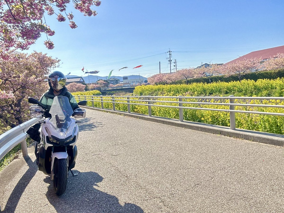 ポニョ。 (@ponyo74) / Posts / X