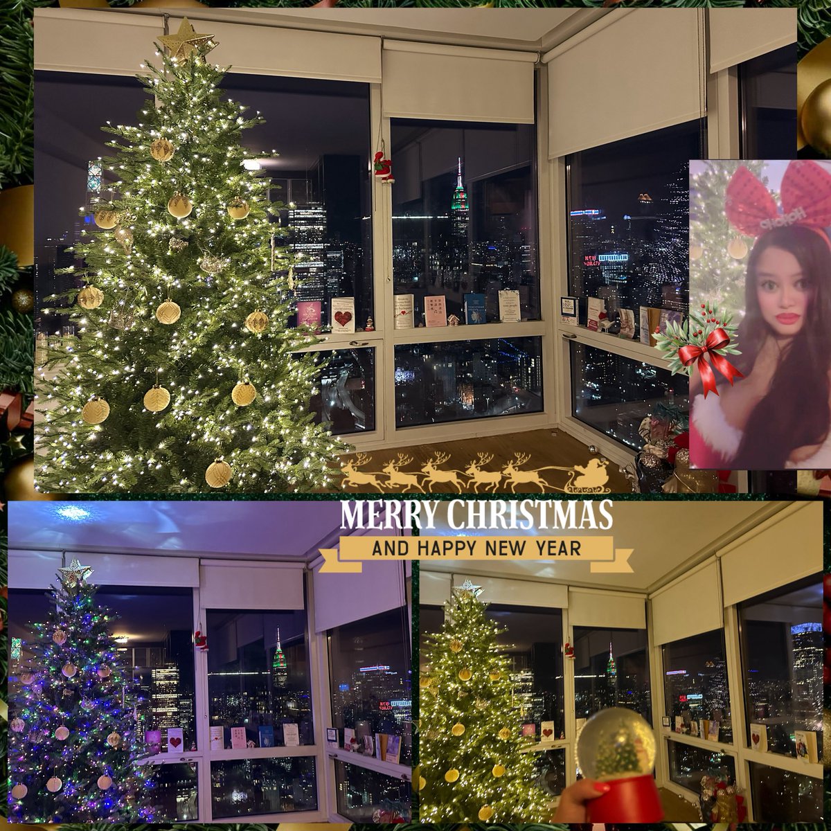 Shahida Arabi, MA tweet media