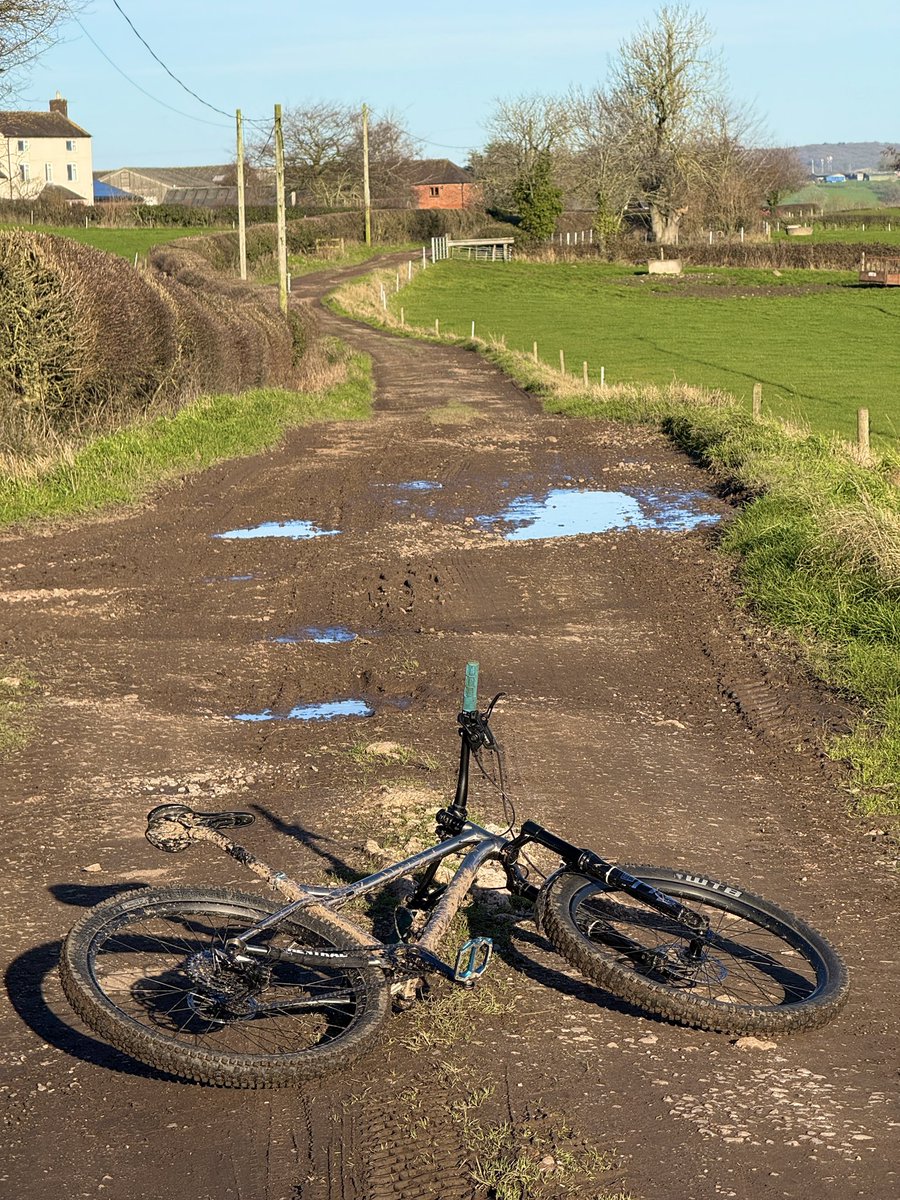 Nick Sigley tweet media