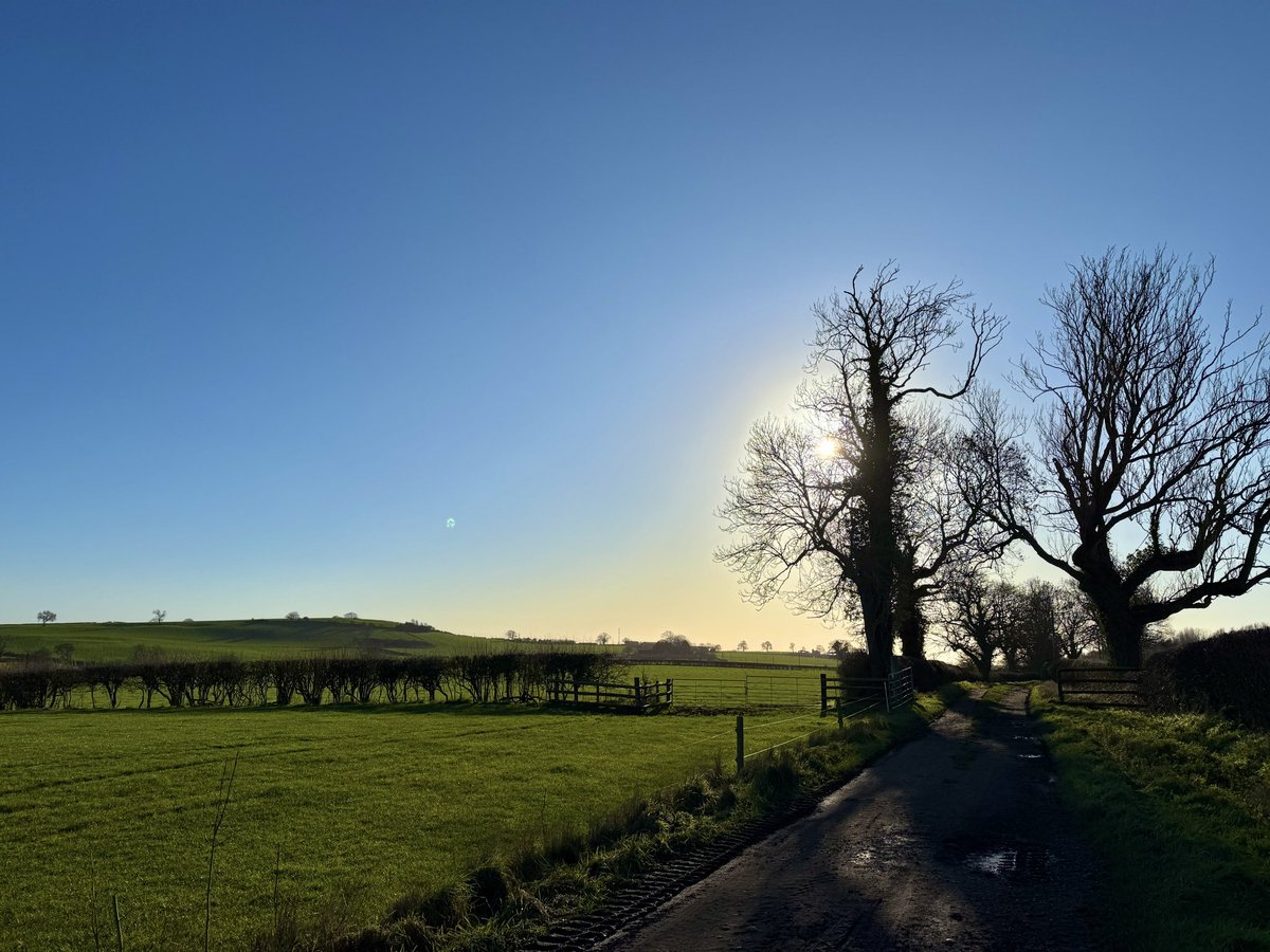 Nick Sigley tweet media