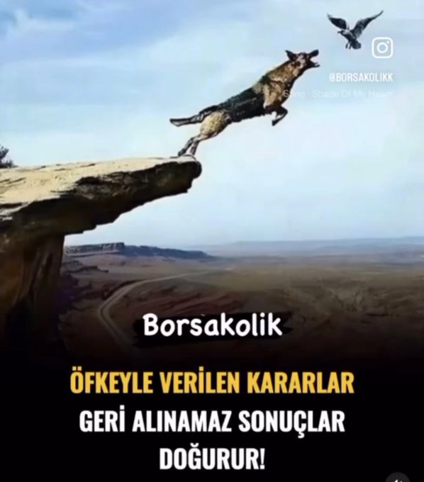 15_feelipe's tweet photo. Herkese günaydın hayırlı işler bol kazançlar #bist https://t.co/dQmQXQQHWf