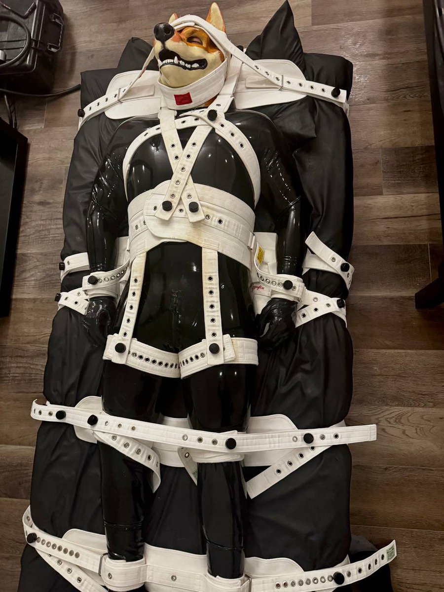 Now that Christmas is over, time to keep your rubber dogs stored for the next 12 months until needed again.

📸: <a href="/atomicswitch/">Atomic ⚛</a>