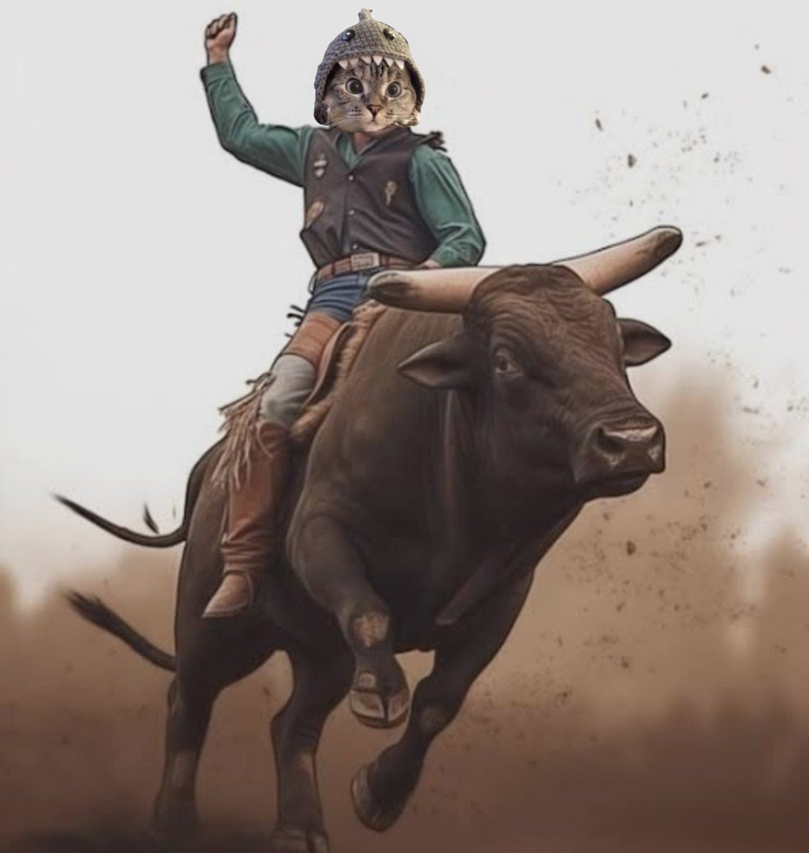 SharkCatSolana's tweet image. We ride the BULL into the NEW YEAR 🐂🦈😺🐂