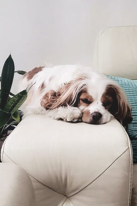 abacaxinhos's tweet image. 