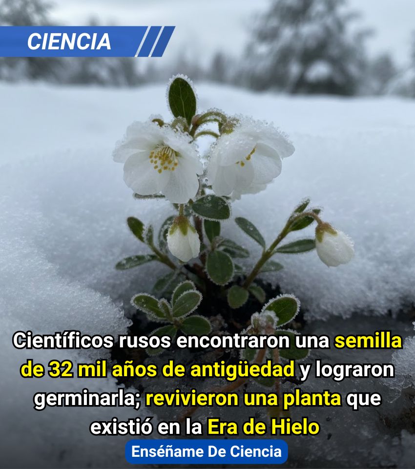 EnsedeCiencia's tweet photo. https://t.co/CmDzSs9kZp