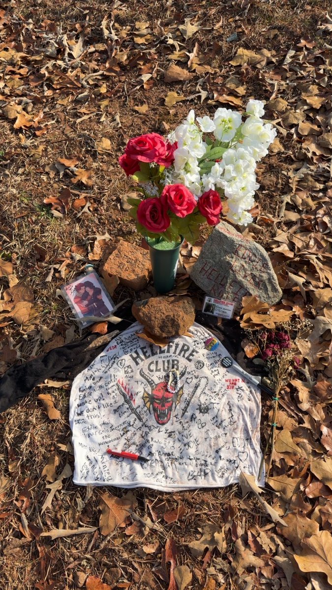 tate.brookins tweet media