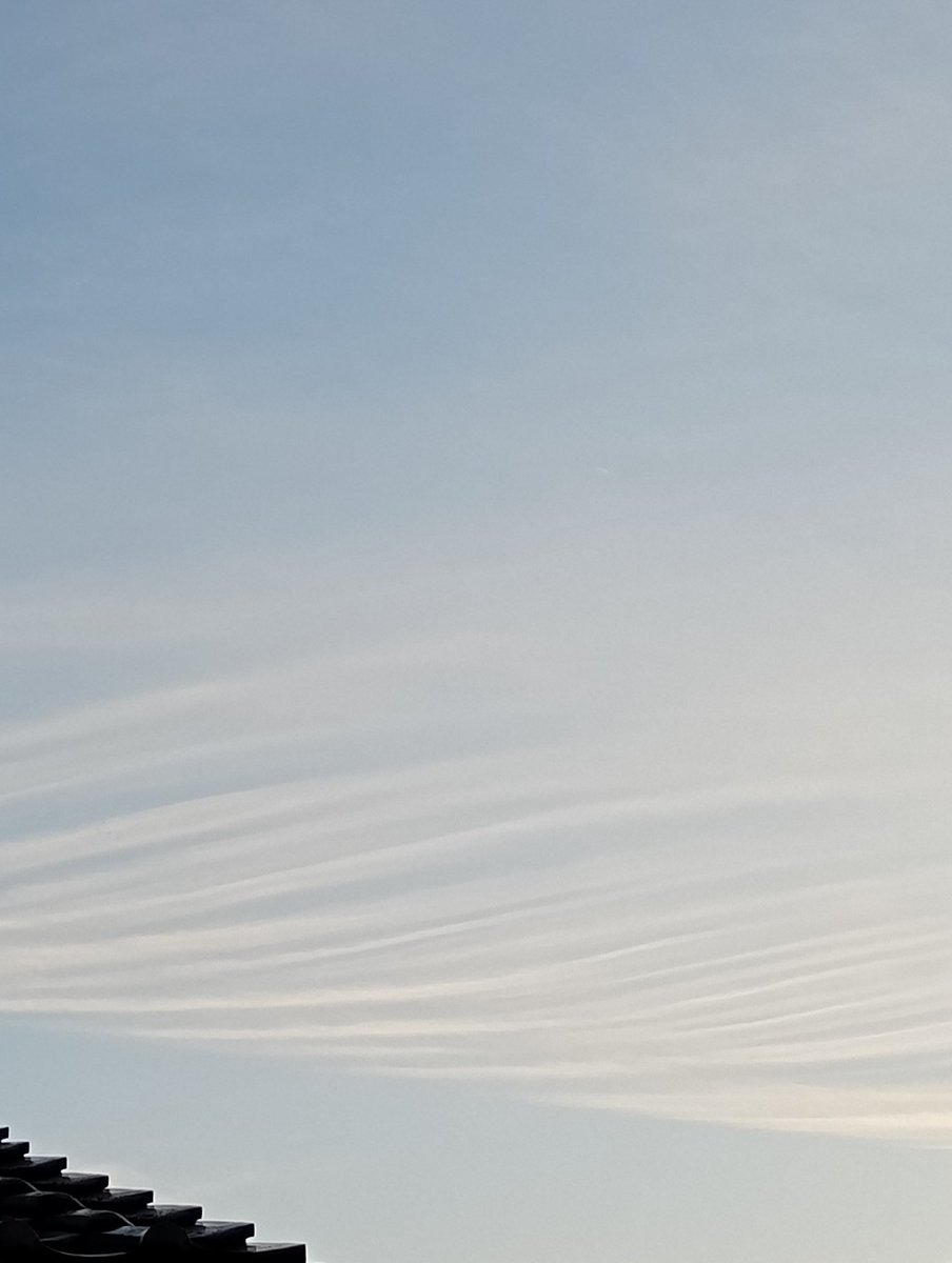 ツリー片付けただけ　年内の休みはあと１回　寝る