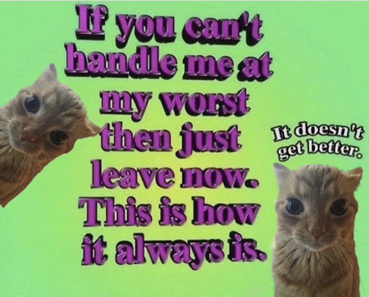 gakstercat's tweet image. 