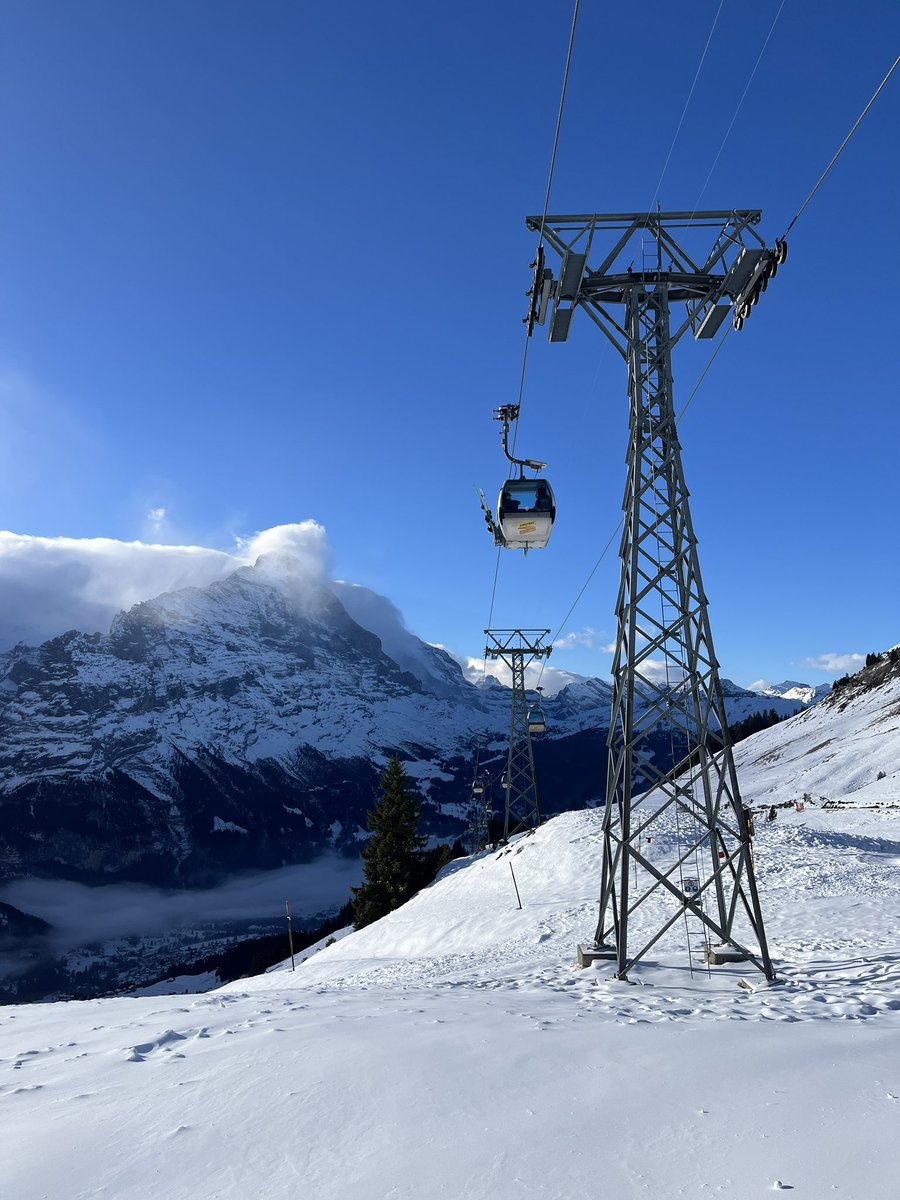 와우 내가 이렇게 작은 존재였다니. 더 커져야겠다!! 브라우니 사야겠어!!