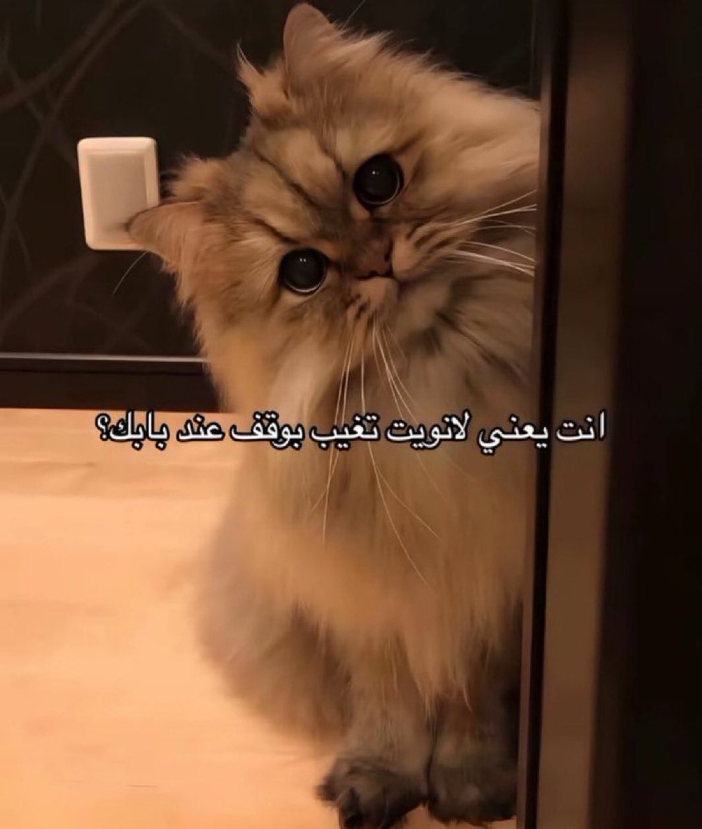 َََََ (@6lll_s) on Twitter photo 