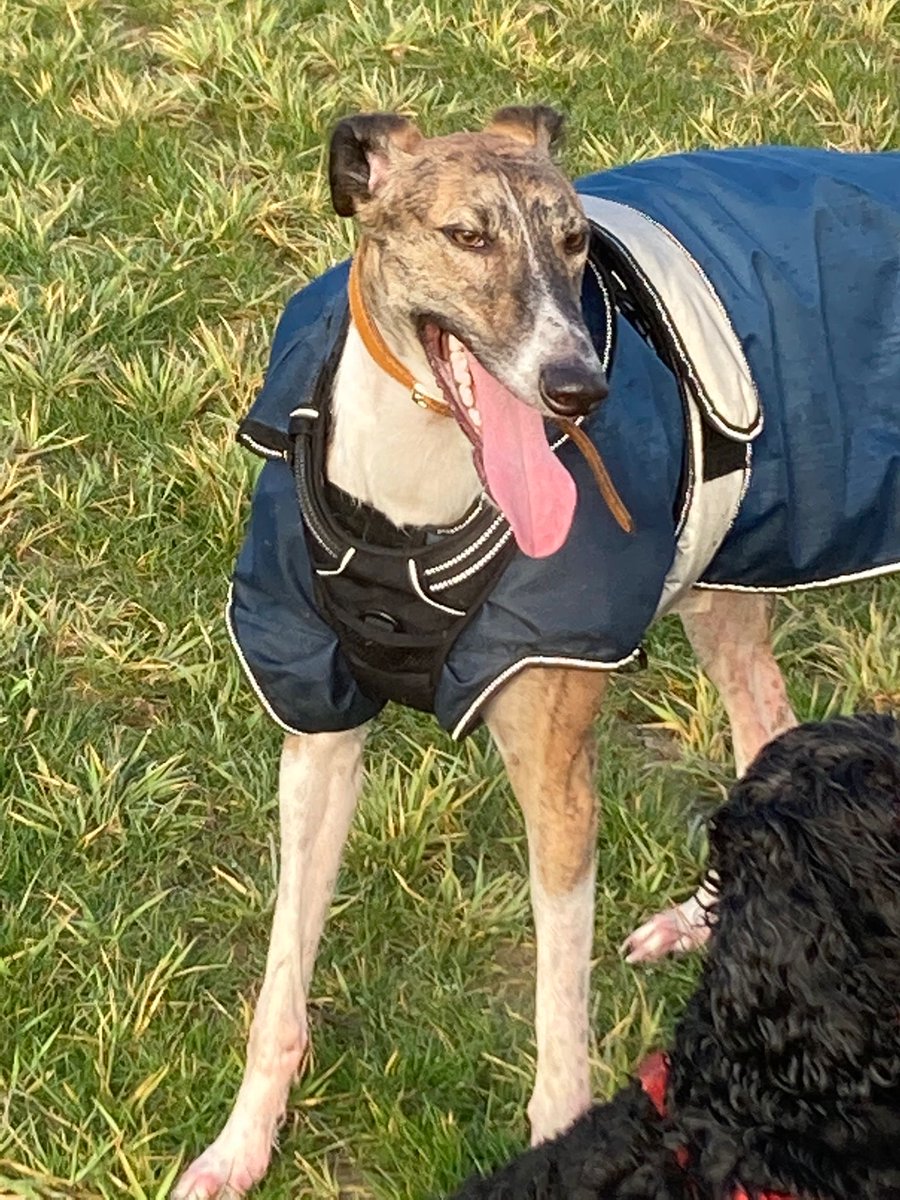 Deborah Robinson tweet media