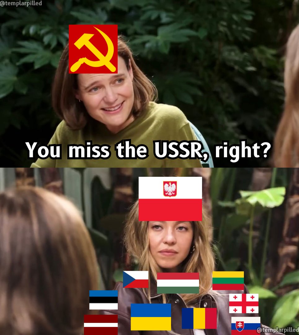 Templarpilled (@templarpilled) on Twitter photo 