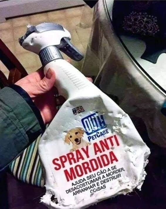 houve contradição (@houvehipocrisia) on Twitter photo 