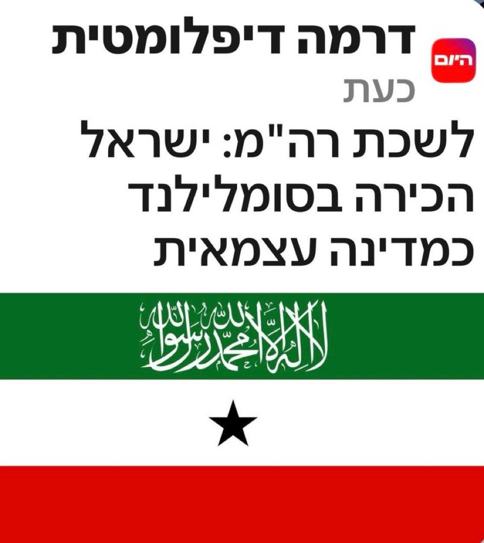 Dan Adin דן עדין tweet media