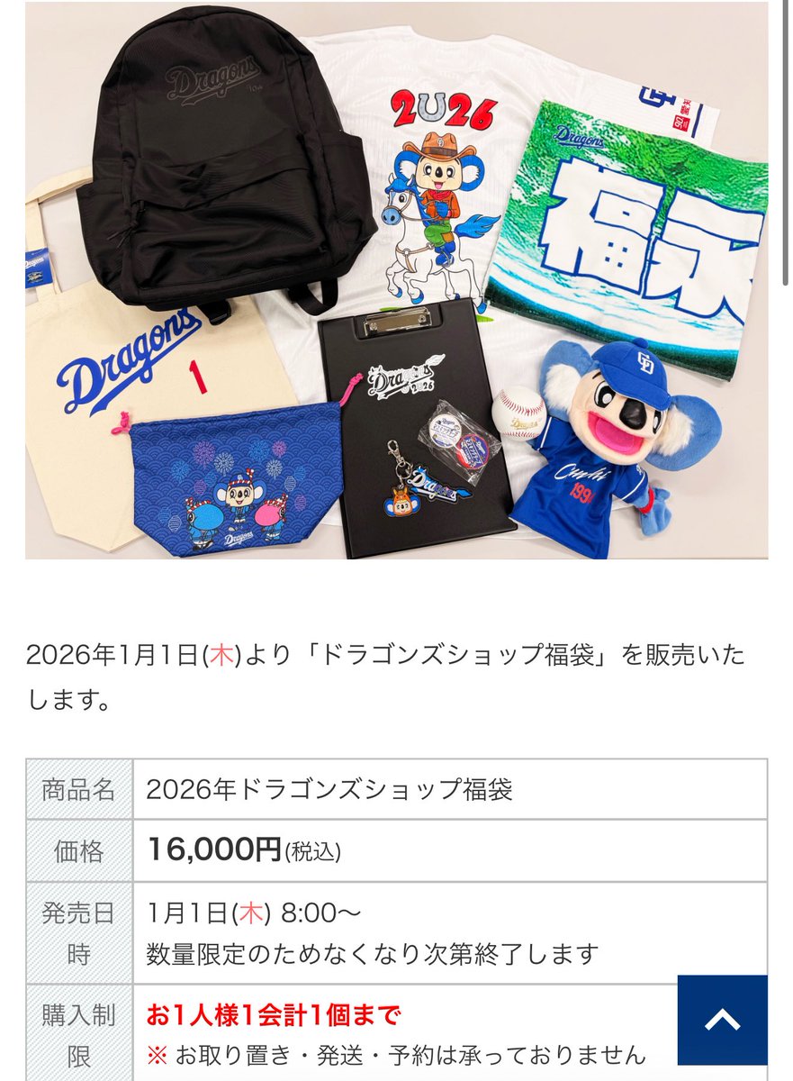 中日ドラゴンズ 福袋 抜き取り等一切無し