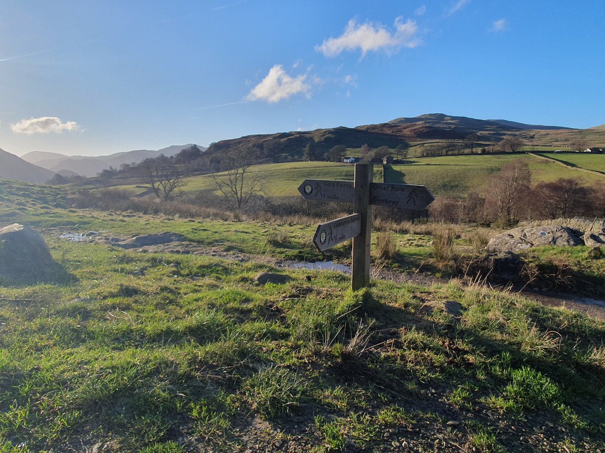 563Aldo's tweet image. #fingerpostfriday
Boxing Day walk from Aira Force to Gowbarrow Summit in superb weather ☀️ - though icy in places underfoot.
Views over Ullswater, towards the North Pennines, Blencathra...
Lucky to see a red squirrel and a  grouse 😊 
#Ullswater 
@VisitEden
#cumbria
#walking