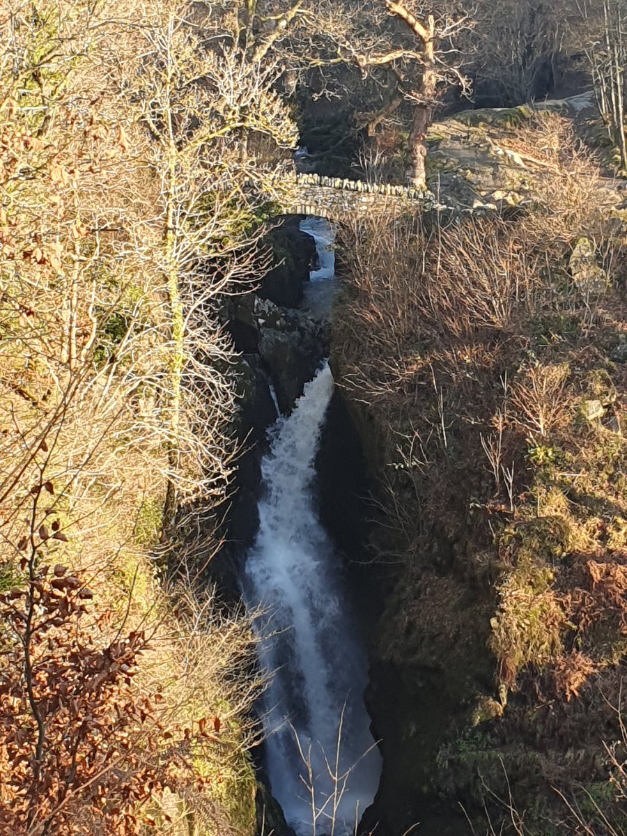 563Aldo's tweet image. #fingerpostfriday
Boxing Day walk from Aira Force to Gowbarrow Summit in superb weather ☀️ - though icy in places underfoot.
Views over Ullswater, towards the North Pennines, Blencathra...
Lucky to see a red squirrel and a  grouse 😊 
#Ullswater 
@VisitEden
#cumbria
#walking
