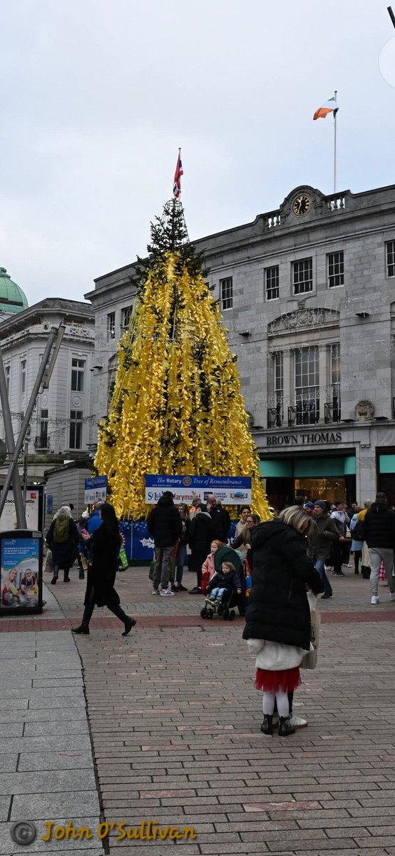 ThisIsIreland3's tweet image. The annual tree of remembrance 🎄 The smallie in the foreground taking shelter under mammy's coat changed is perfect timing..a lovely memory 👍💕🇦🇹🎄☃️

📍Cork City, Ireland ☘️ 

📸 John O' Sullivan

#Cork #Remembrance #Ireland #CorkCity