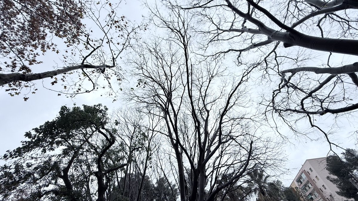 Nathalia tweet media