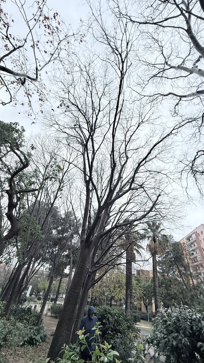 Nathalia tweet media