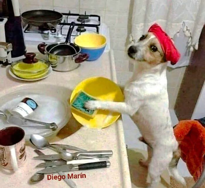VenteDigo1's tweet photo. Día de recuperar el hogar. https://t.co/EHwwweOMjR