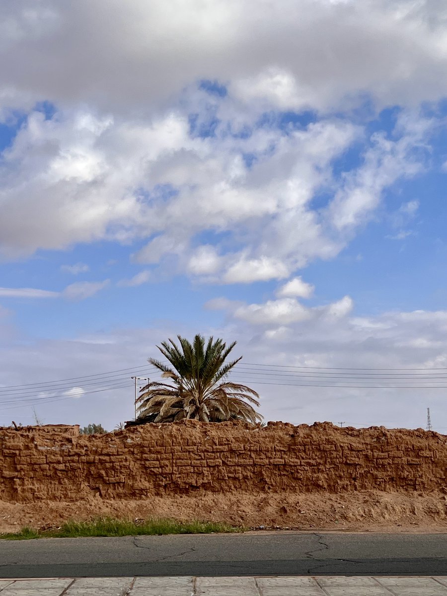 «مفتقد»، ياما يواسى القبر وأصير «الفقيدة»
«مغترب»، ياما تهلّ العين دمعة حابستها